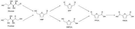 Furandicarboxylic Acid Biosynthesis Alfa Chemistry