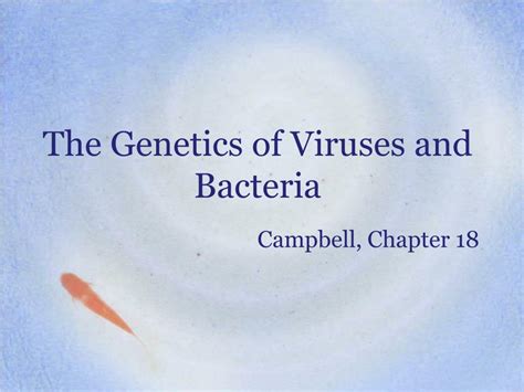 Ppt The Genetics Of Viruses And Bacteria Powerpoint Presentation Free Download Id6894767