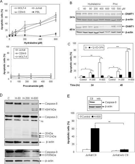 The Antihypertensive Drug Hydralazine Activates The Intrinsic Pathway