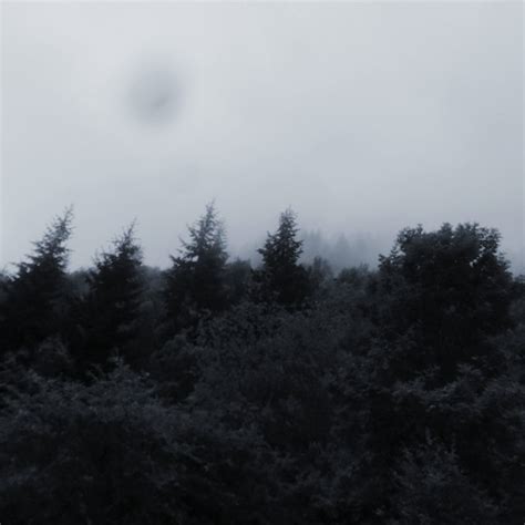 Fuck People Fuck Life Fuck Everything Playlist By Bieltxo Spotify