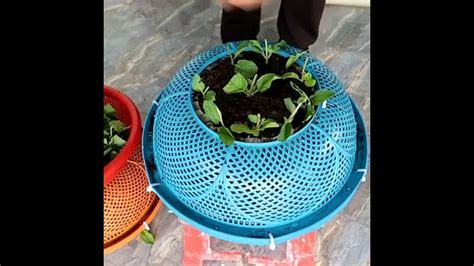 Чтобы сделать шикарный подвесной цветник, необязательно покупать ...