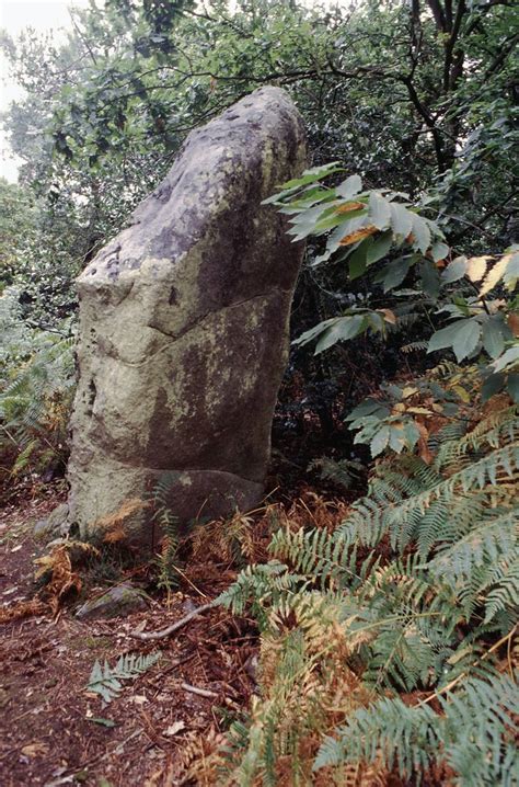 Le Thoureil Maine Et Loire St Gondon Un Menhir De La Bu Flickr