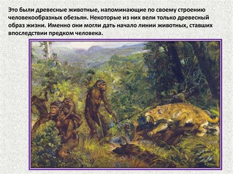 Начало истории человечества - online presentation