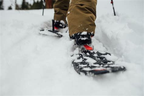 Are Snowshoes Worth It? - When to Use Snowshoes vs Spikes