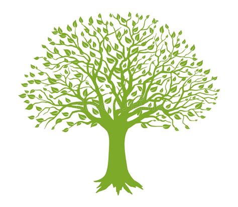 Tree Roots Eps Stock Vector Illustration Of Design 255218193