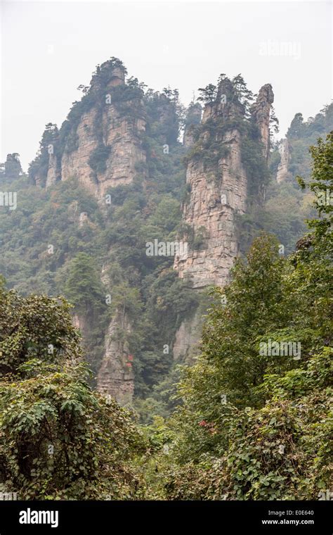 Zhangjiajie National Forest Park Avatar Mountains Stock Photo Alamy