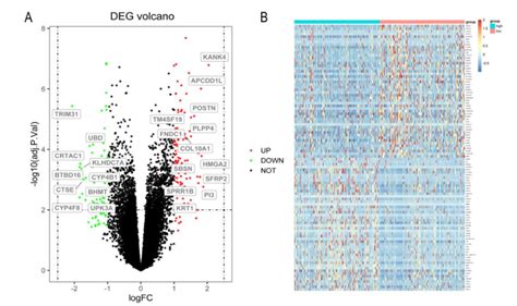 Figure S Volcano Plot And Heatmap Of Differential Genes Between