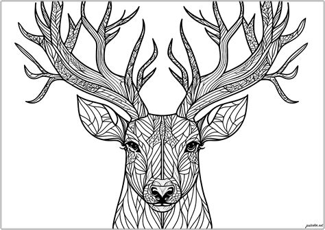 deer coloring pages 7
