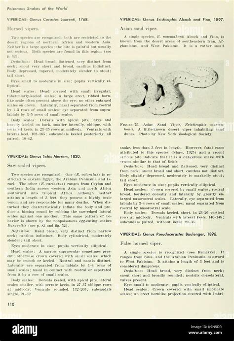 Poisonous snakes of the world (Page 110) BHL11739568 Stock Photo - Alamy