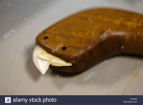 Shark’s teeth tool hi-res stock photography and images - Alamy