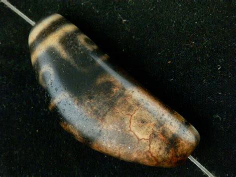 Купить Бусина Дзи 9 глаз двурогая в интернет-магазине Роза Мира