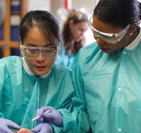 Welcome! | Massachusetts Bay Community College