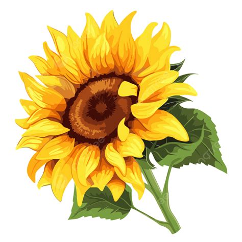 Girasol Clipart