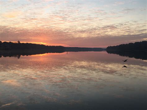 Pin By Liz Etheridge Sekerke On Life On The Lake Lake Cypress Springs