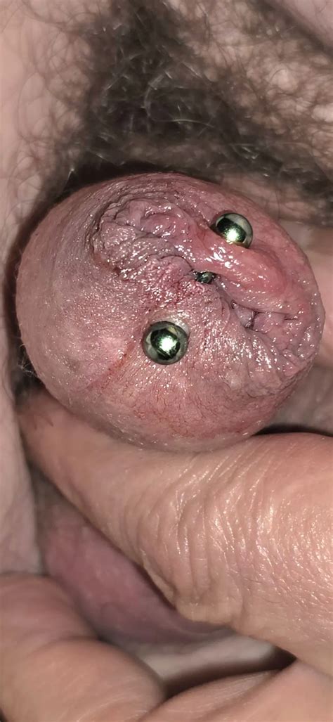 MY CHASTITY PIERCING 8 Nude Pics XHamster