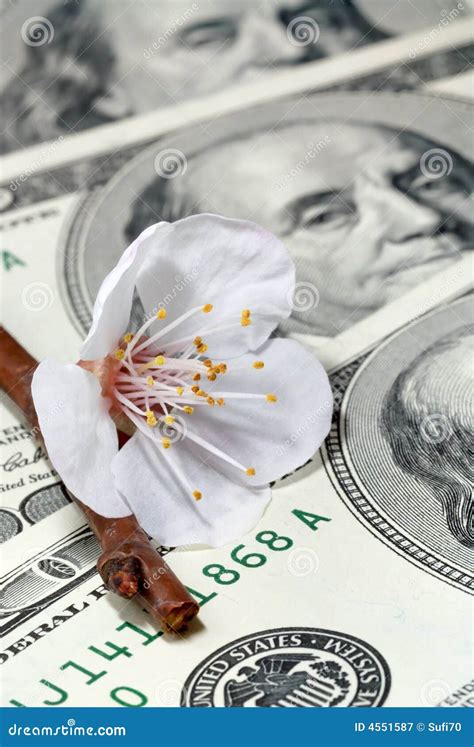 Spring Arrives To Markets Too Stock Image - Image of commerce, fruit ...