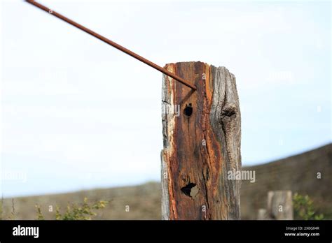 Steel Rebar Post For Fence At Jennifer Wilkins Blog
