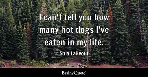 Top 10 Shia Labeouf Quotes Brainyquote