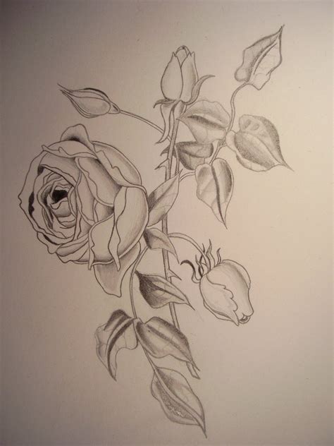 Falling Rose Petals Drawing at GetDrawings | Free download