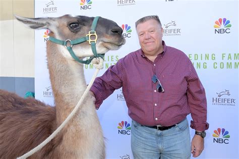 Meet Chris Sullivan The Voice Of The Geico Camel “HUMP DAY”[VIDEO]