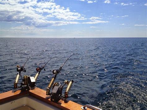 How Much Does A Michigan Fishing License Cost? (Full Guide)