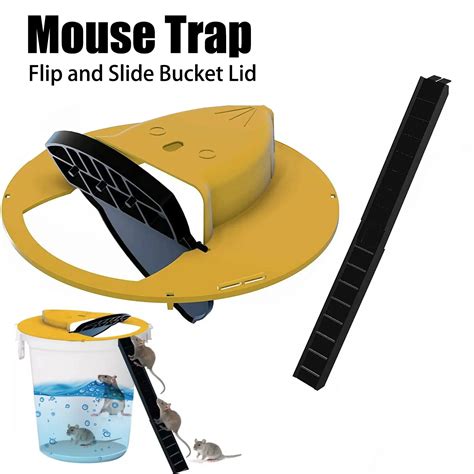 pail  water mouse trap  seth darcy irvine blog