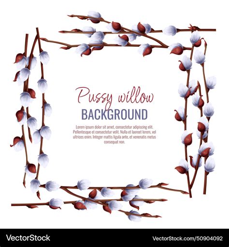 Spring Background With Pussy Willow Branches Vector Image