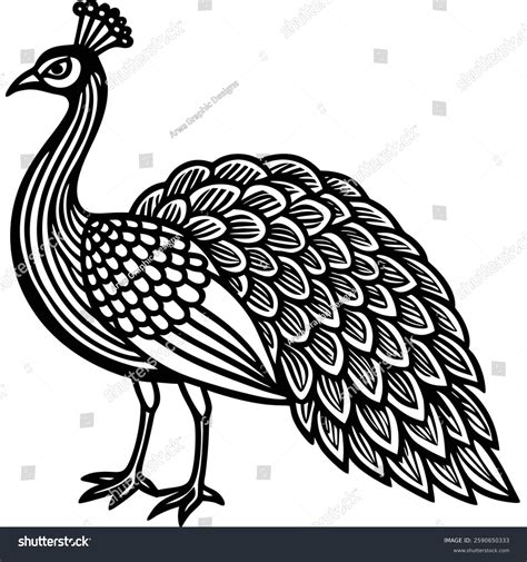 peacock black white vector stock vector royalty