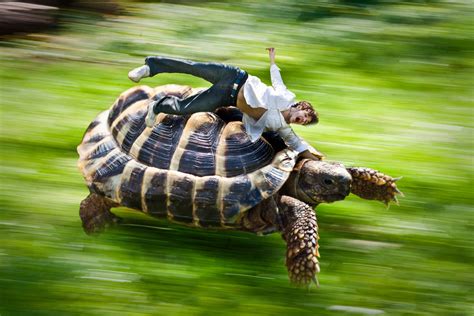 funny animal zooming in face 4