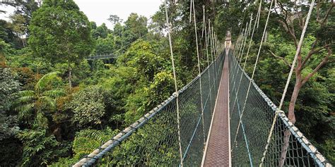 Tour Malesia Foreste E Tesori Della Natura Dalla Penisola Al Borneo