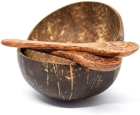 Coconut Shell Bowl and Coconut Spoon – Rowshon Corporation