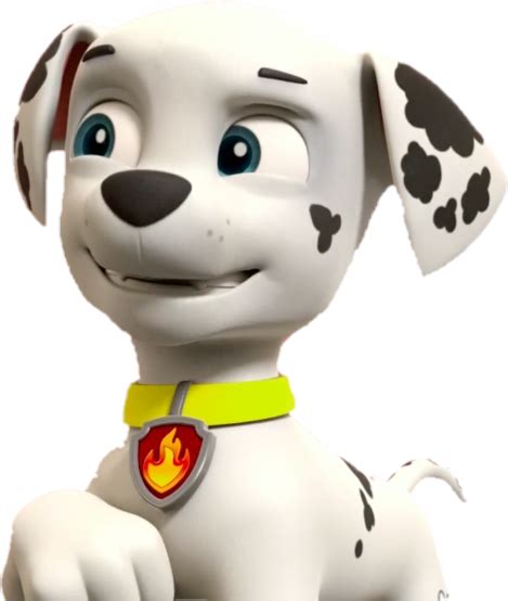 Marshallgallery Paw Patrol Wiki Fandom Marshall Paw Patrol Paw