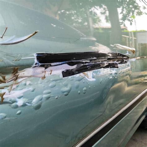 How to Remove Leaf Stains from Your Car Paint - In The Garage with ...
