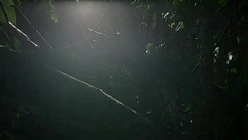 Moto Acuatica XVIDEOS