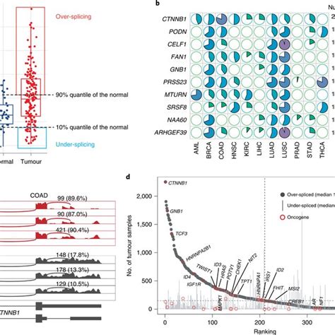 Pan Cancer Analysis Identifies Ctnnb1 As The Top Dysregulated C3usp Download Scientific Diagram