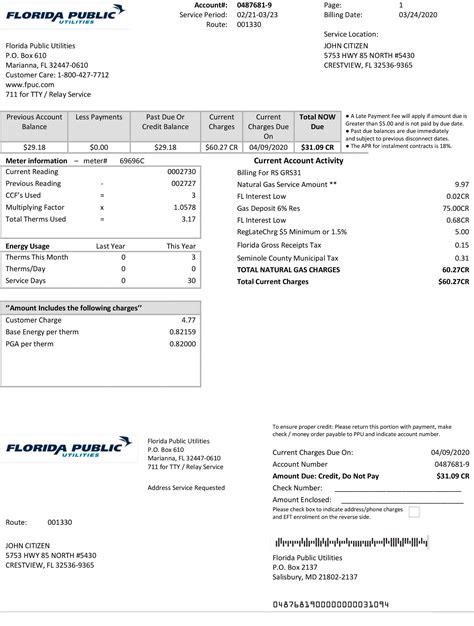 Florida Fake Utility Bill Template