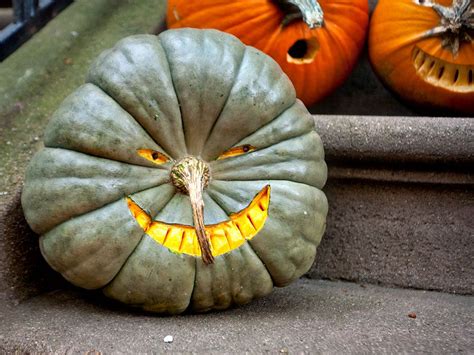 Green Pumpkin - Different! | Halloween pumpkins carvings, Pumpkin carving, Green pumpkin