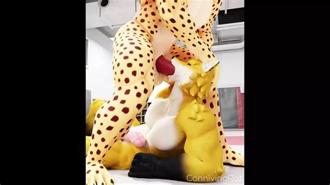 Connivingrat D Porn Hentai Compilation American Porn By Patreon XHamster