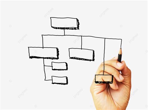 Organización Dibujo A Mano Dibujando Pluma Png Negocio Blanco Plan