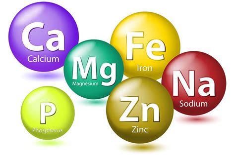 Quais são os oligoelementos 14 Exemplos Maestrovirtuale