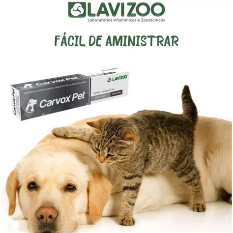 Qual A Dosagem De Carvão Ativado Para Gatos - Carvão Ativado em Gel Carvox Pet 14gr Antitóxico Cães Gatos - Manada Animal