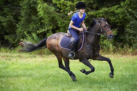 How To Ride A Horse Safely