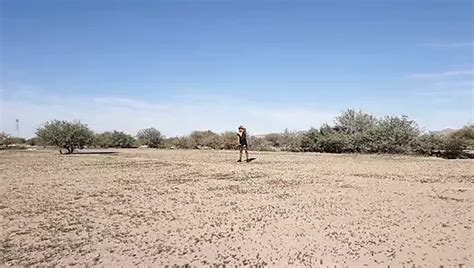 Schattige Sexy Trans Met Bikini En Hakken In Het Openbaar Erg Heet Xhamster