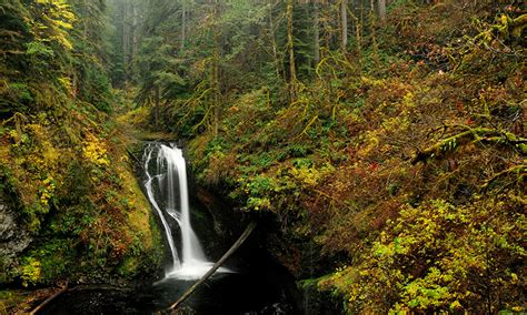 Bilder von USA Oregon Natur Herbst Wasserfall Wälder