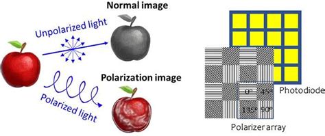 Unpolarized Light