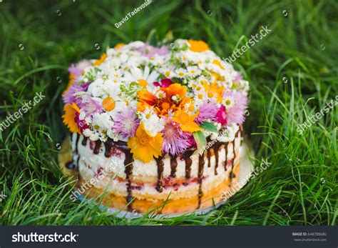 Naked Cake Decorated Flowers On Grass Stock Photo 648788680 Shutterstock