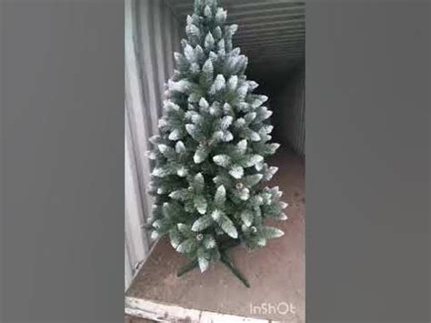 Елочка Таежная с белыми концами и с шишками - YouTube