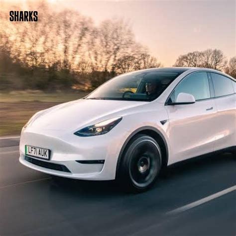 Tesla announces price increase for Model Y - Sharks Magazine