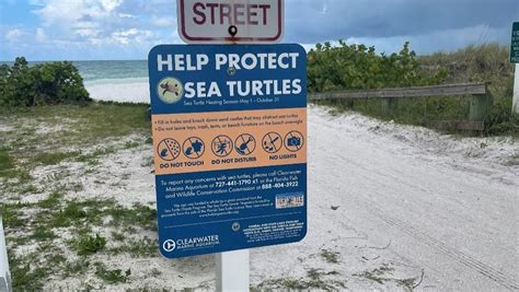 Grant Awarded For Sea Turtle Nesting Signage Clearwater Marine Aquarium