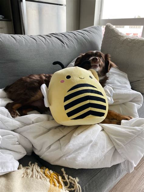 Squishmallow Sunny Bean Bag Chair Nursery Decor